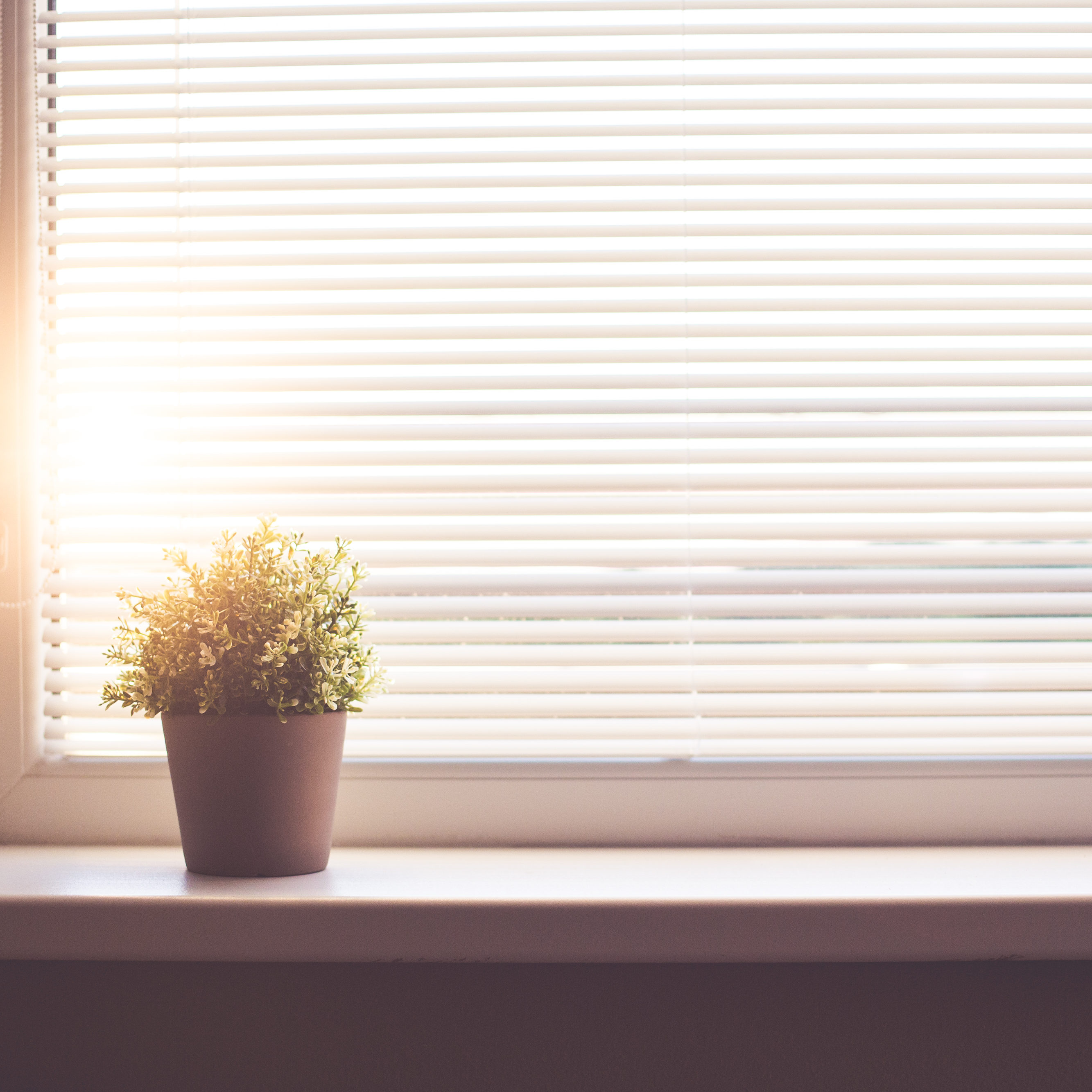 sun-shining-through-the-window-with-sun-blind-picjumbo-com